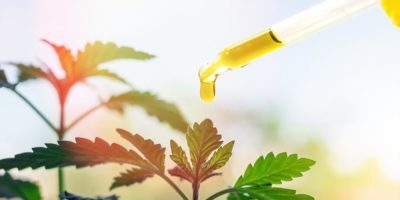 CBD Oil Online
