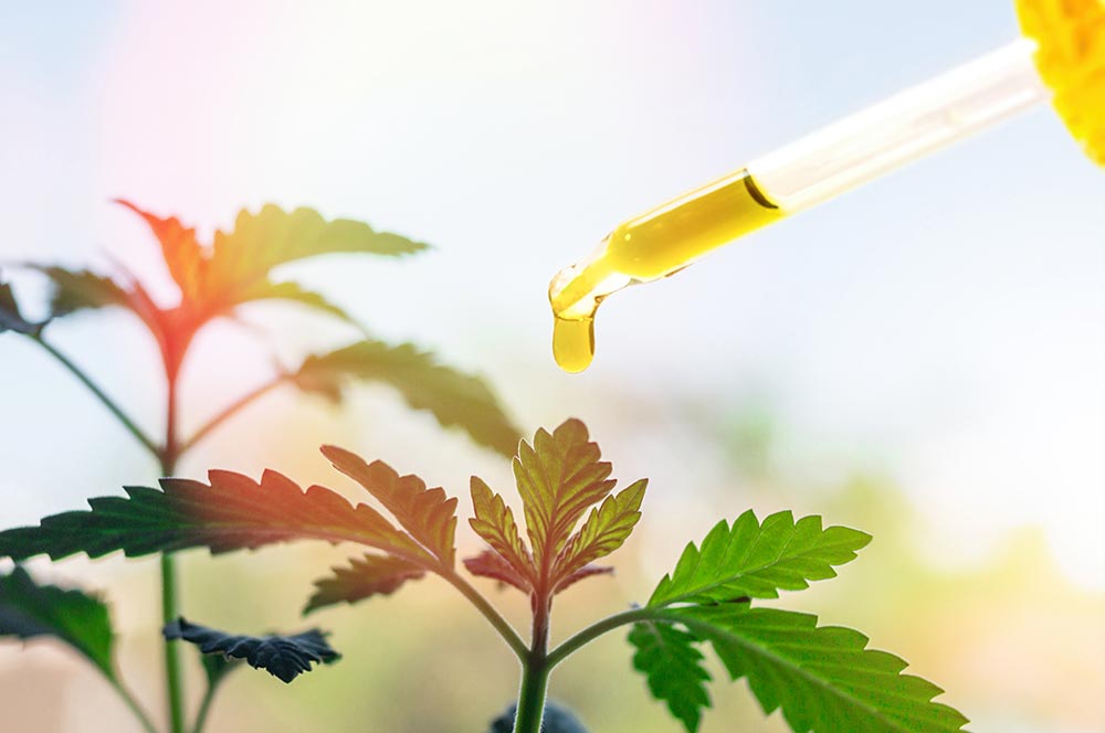 CBD Oil Online