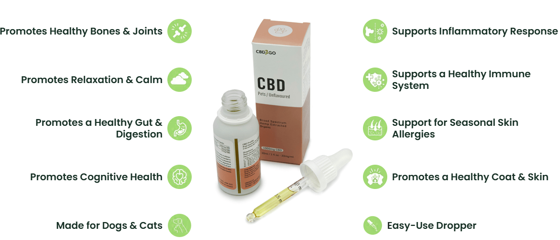 Visual overview of CBD benefits for dogs