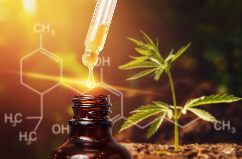 CBD Oil Canada
