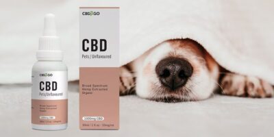 CBD Oil For Dogs Canada