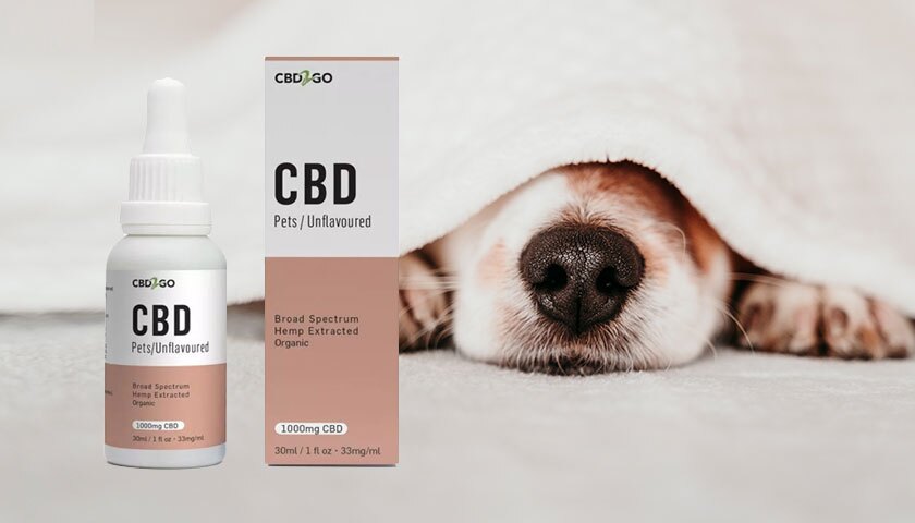 CBD Oil For Dogs Canada