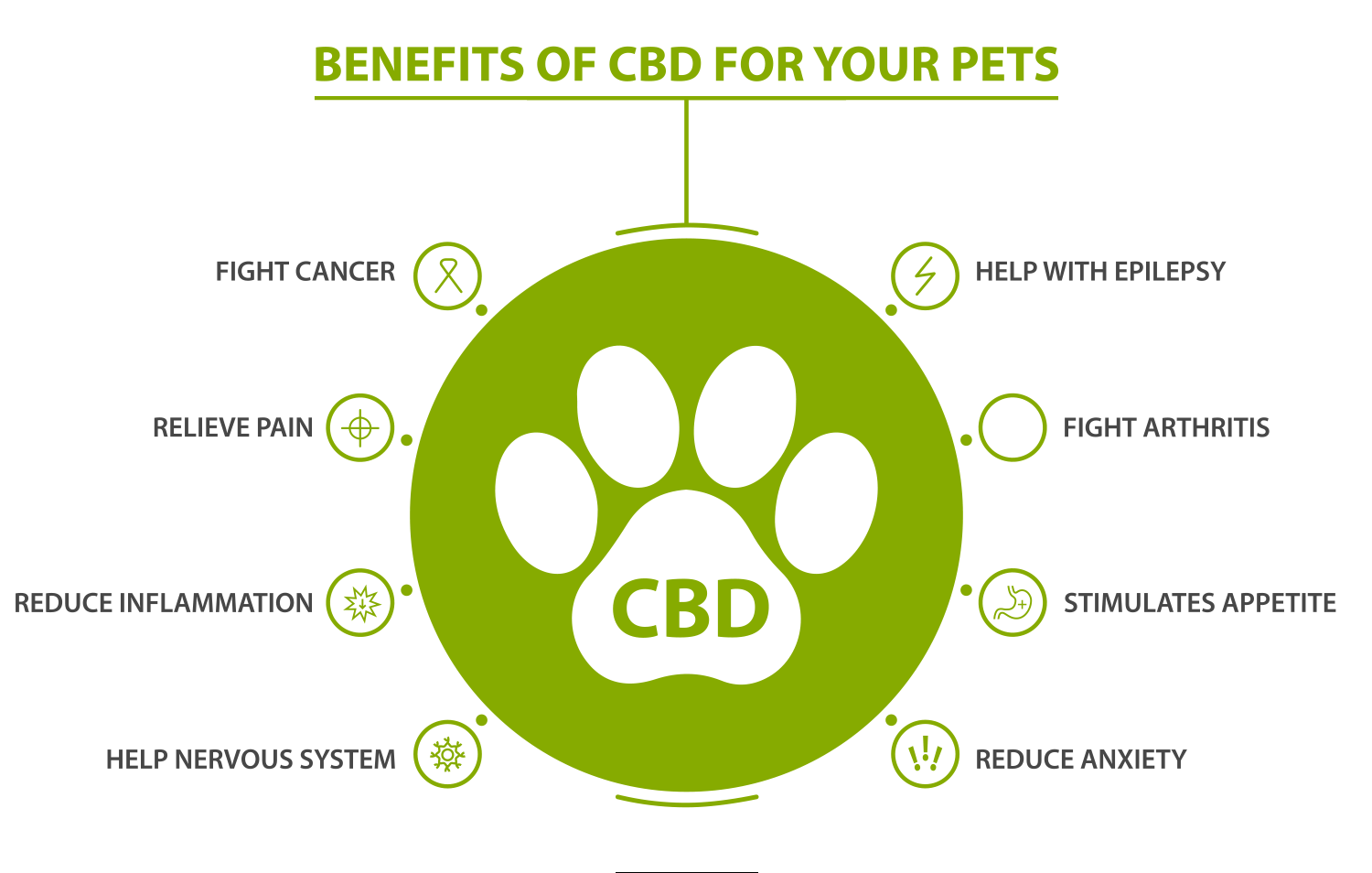 Infographic of wellness benefits of CBD for dogs