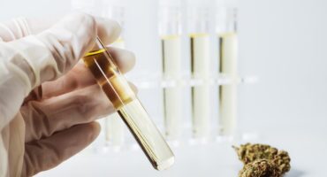 What is CBD oil CBD2GO