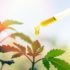 CBD Oil Online