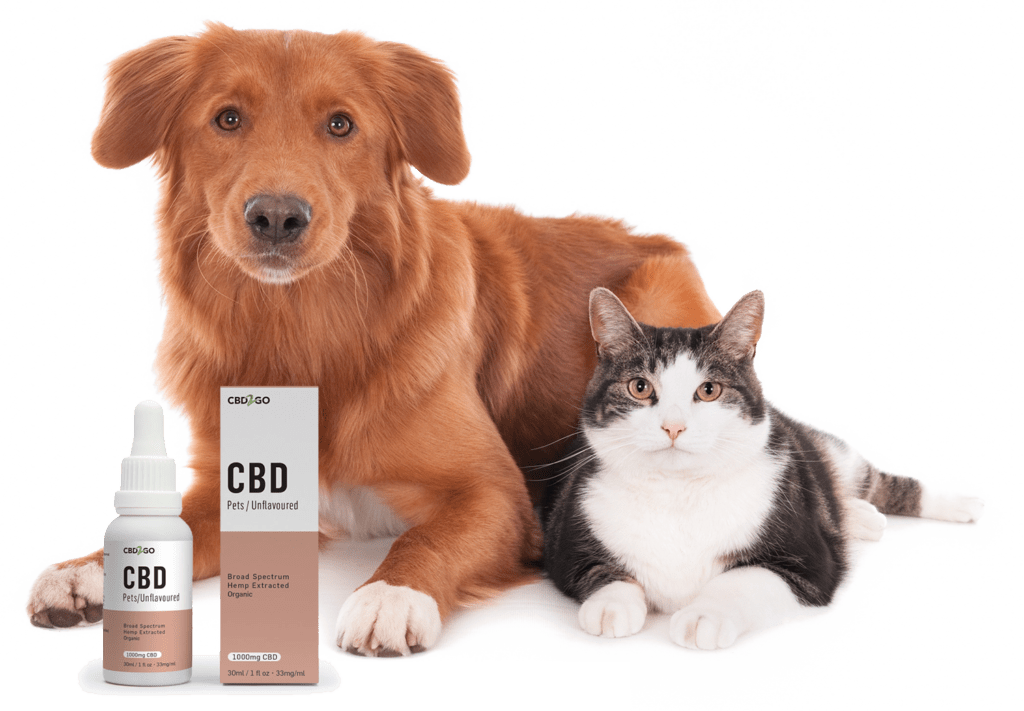 cbd oil for dogs and pets quebec