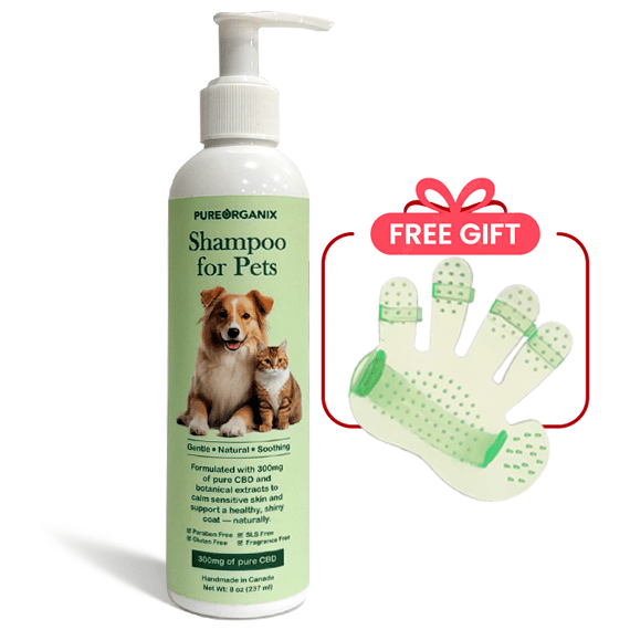 cbd-pet-shampoo-plus-free-gift