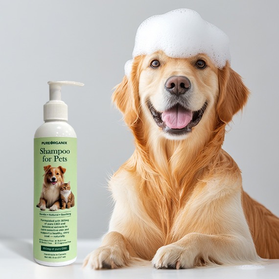 dog-shampoo