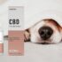 CBD Oil For Dogs Canada