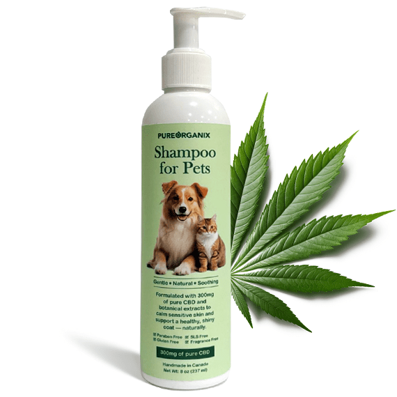 CBD Pet Shampoo