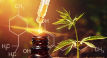 CBD Oil Canada