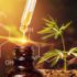 CBD Oil Canada