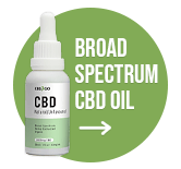 Broad spectrum CBD oil CBD2GO