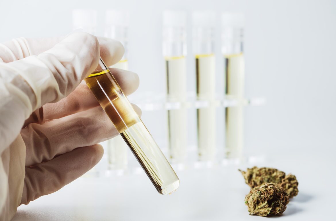 What is CBD oil CBD2GO