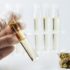 What is CBD oil CBD2GO
