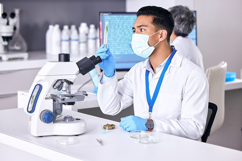Scientific safety testing of CBD extracts