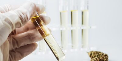 What is CBD oil CBD2GO