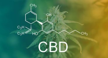 Cbd Capsules Canada